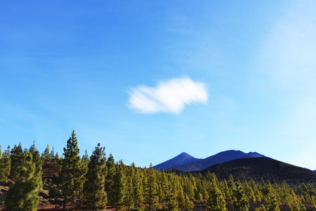 View of  top of  mountain under blue skyの写真素材