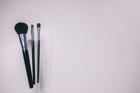 Makeup brushes set on white background  is ready for a your text