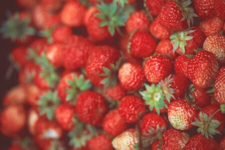 Many strawberries shot from the topの写真素材