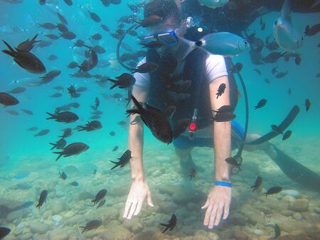 An equipped boy dives surrounded by many fish in the clear water in the blue waters of the Mediterranean sea in Antalya.                   の写真素材