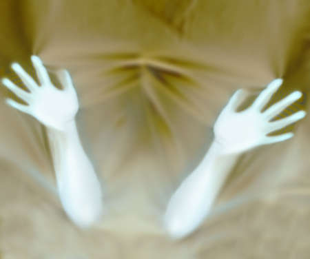 Handsの写真素材