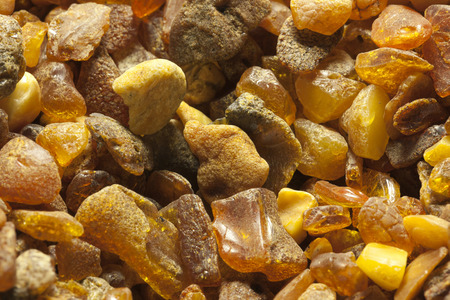 Raw amber from the shores of the Baltic Sea in the Kaliningrad regionの写真素材