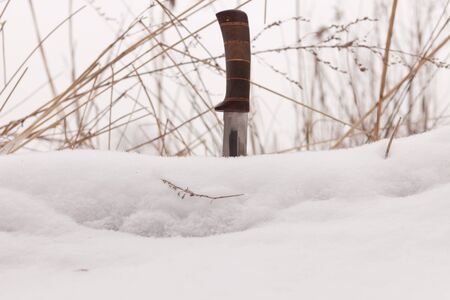 sharp hunting knife, stuck in the snowの写真素材