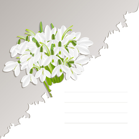 Vector template with snowdrop flowers for the inscription. Vector, EPS 10のイラスト素材