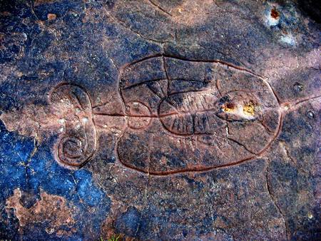 Petroglyph national monumentの写真素材