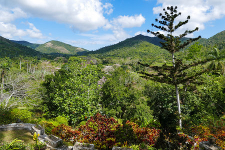 Vegetation landscape with mountains  in the countryside in Cubaのeditorial素材