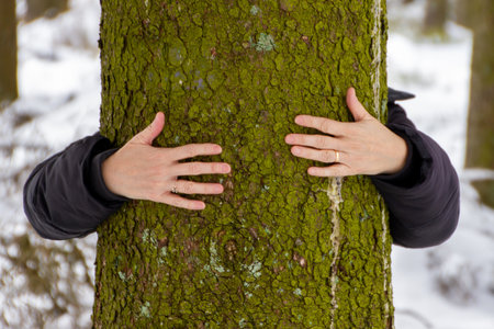 Botrange, Belgium, April 8, 2021. Silvotherapy, Hands around a tree .. Silvotherapy is therapy using...