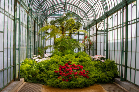 Brussels, Belgium, May 28, 2021. Belgium, Brussels, Royal Greenhouses of Laekenのeditorial素材