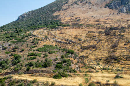 Mycenae, Greece, July 19, 2022. Peloponnese landscape after a fire around the ancient cityの写真素材