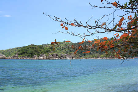 Lipe Island in Satun Thailandの写真素材