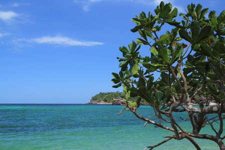 Lipe Island in Satun Thailandの写真素材