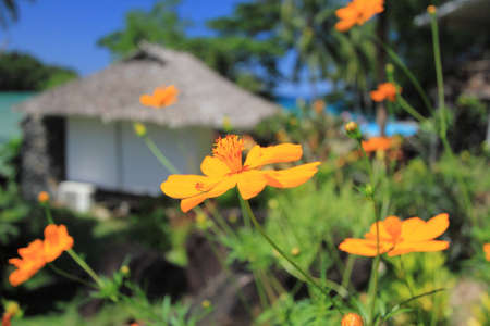 Kood Island in Thaiandの写真素材