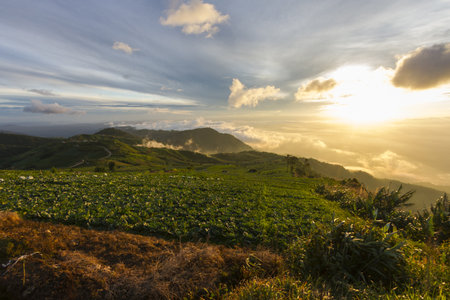 View from Phu Tub Berk in Thailandの写真素材