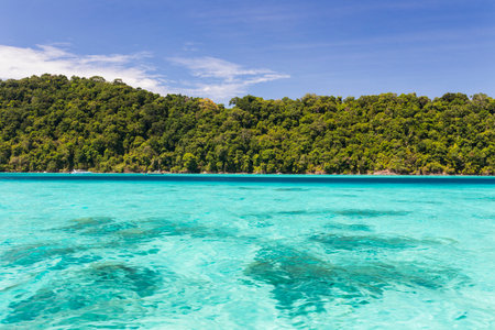Surin national park in the south of Thailandの写真素材