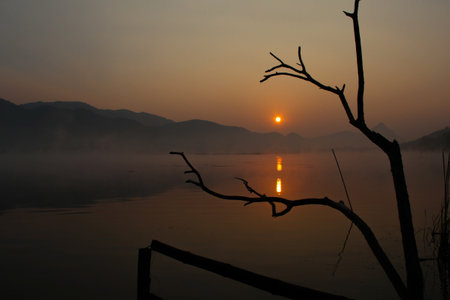 Sunrise with a Treeの写真素材