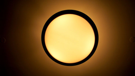 A domed light fixture.の写真素材