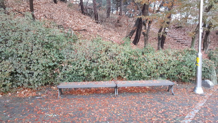 Autumn Leaves and Lonely Landscapeの写真素材