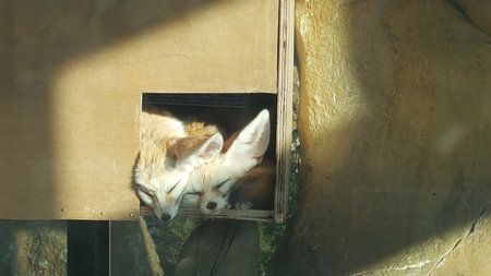 A Beautiful Look at Outdoor Parksの写真素材