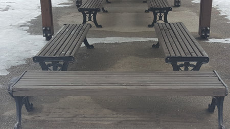 A bleak bench in the winter park
