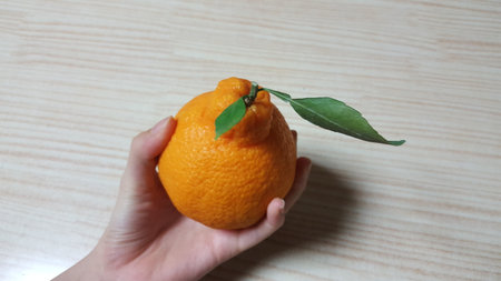 Delicious Jeju Island fruitの写真素材