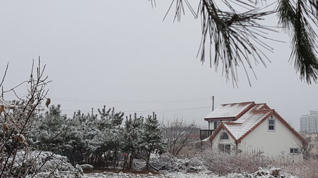 A nice houseのeditorial素材