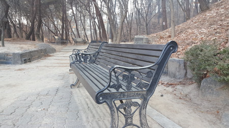 Wooden bench in a park