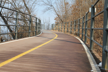 a walkway with treesの写真素材