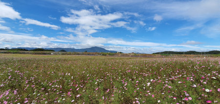natural scenery under the sunny dayの写真素材