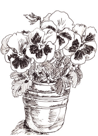 graphic black and white drawing pansies in a bucket on white backgroundの写真素材