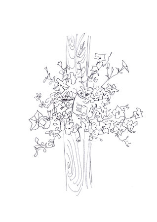 graphic black and white drawing pots with blooming petunia hanging on a pillarの写真素材
