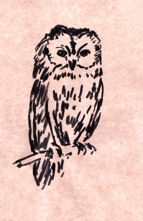 graphic drawing in black marker on craft paper owl sitting on a branchの写真素材