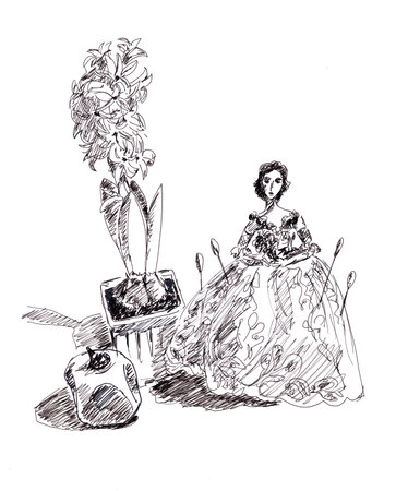 linear graphic black and white drawing hyacinth, pomegranate and antique needle bed on a white backgroundの写真素材
