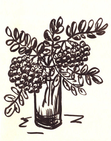 graphic black and white drawing bouquet of rowan branches with berries in a vase on white backgroundの写真素材