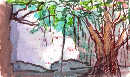 graphic drawing rainforest jungle and place for textの写真素材