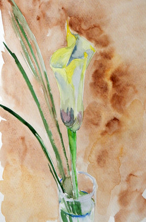 watercolor drawing delicate calla flower on a texture beige brown backgroundの写真素材