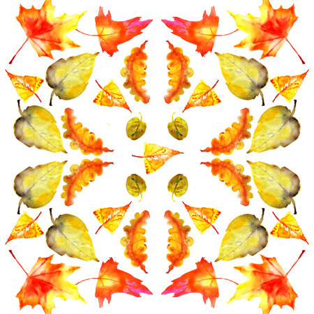 autumn colorful leaves leaf fall seamless pattern on a white backgroundの写真素材