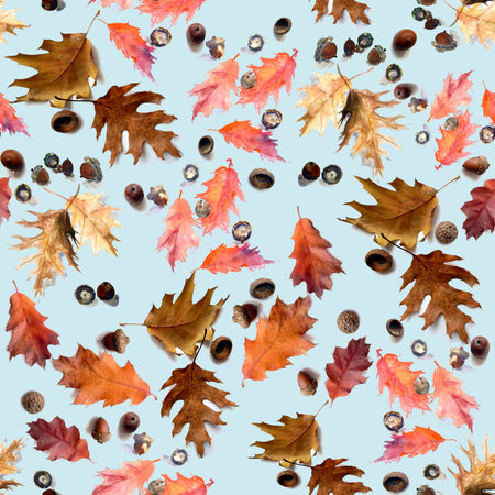 seamless pattern of red leaves and acorns of canadian northern oak on a blue background. High quality illustrationの写真素材