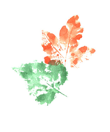 set of autumn watercolor leaves on a white backgroundの写真素材