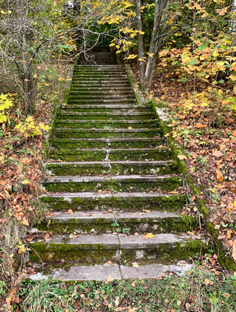 old stairs in the park among autumn fallen leaves, selective focus. High quality photo