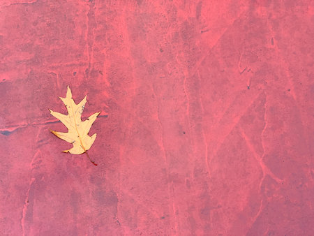 Yellow autumn leaf on red textured background, selective focus, copy space. High quality photo