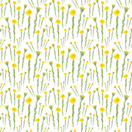 Seamless pattern with watercolor yellow spring flowers on white backgroundの写真素材