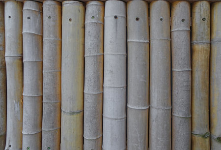 natural background, fence of bamboo trunks, selective focus. High quality photoの写真素材