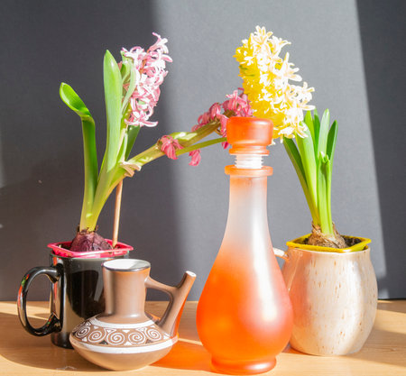 Spring still life with yellow and pink hyacinths and a red decanter. High quality photoの写真素材