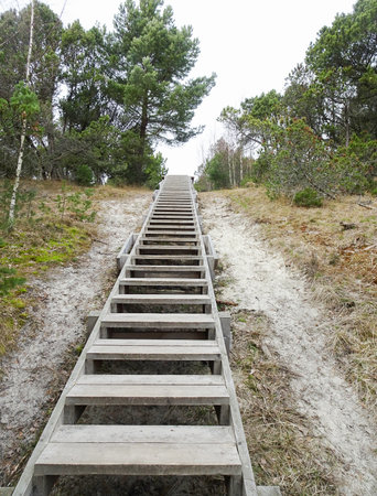 Wooden staircase goes to the sky among the forest, selective focusの写真素材