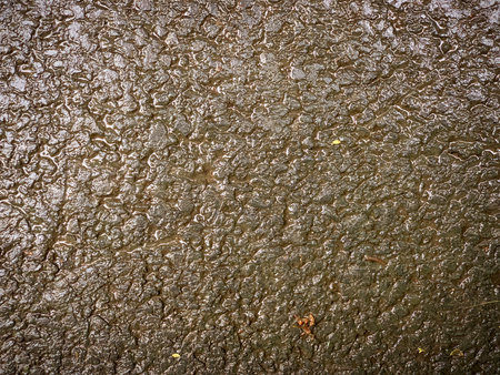 Natural textured wet asphalt grunge background, copy space. High quality photoの写真素材