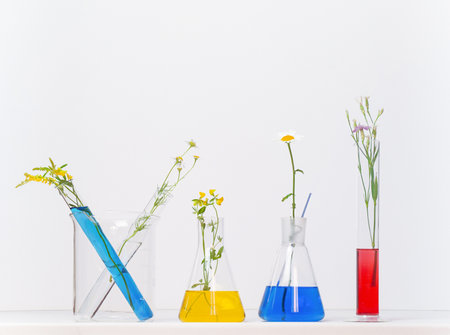 Natural organic and scientific extraction in glassware, Alternative green herb medicine, copy space. Laboratory and development concept.の写真素材