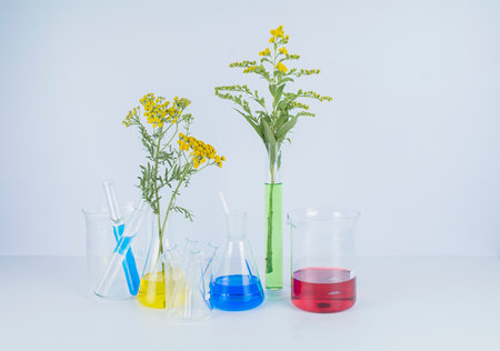 Natural organic and scientific extraction in glassware, Alternative green herb medicine, copy space. High quality photoの写真素材