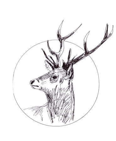 deer head in a circle, linear graphic drawingの写真素材