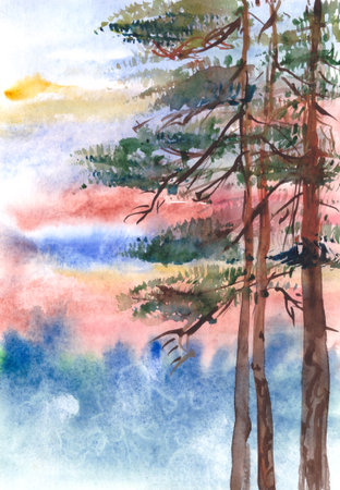 Trunks of pine trees at sunset watercolor drawing. high quality illustrationの写真素材