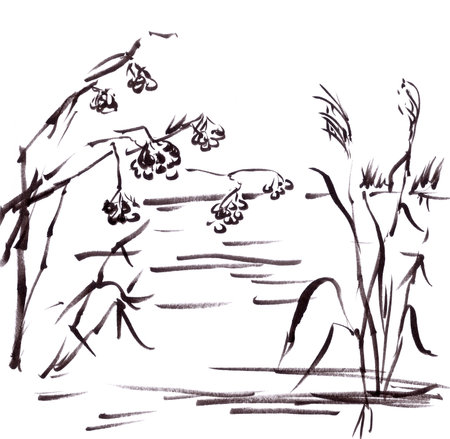 autumn dry reeds and berries over water, graphic black and white drawing. high quality illustrationの写真素材
